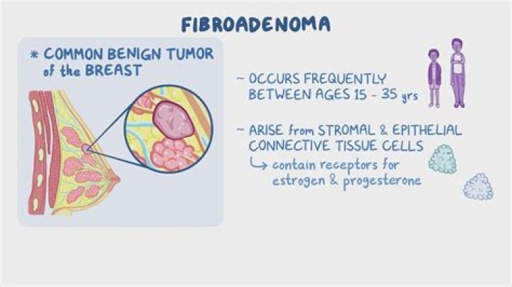 Is Fibro a suffix