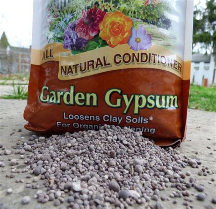 Is Gypsum good for plants