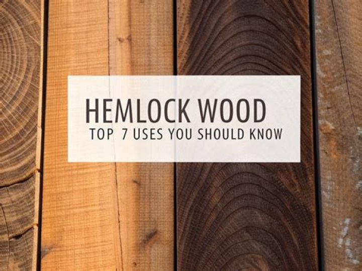 Is Hemlock good for lumber
