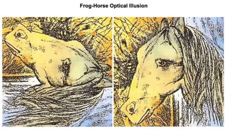 Is it a frog or a horse
