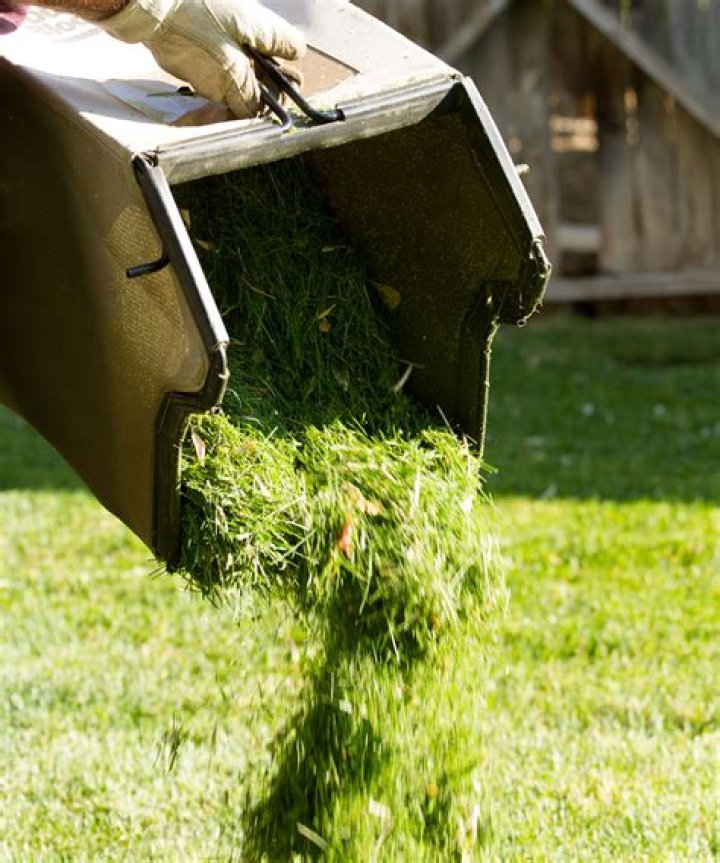 Is it better to leave grass clippings or bag them