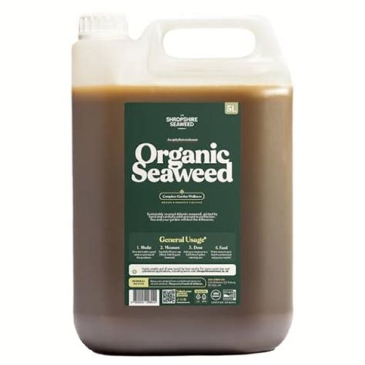 Is it safe for dogs to walk on fertilizer
