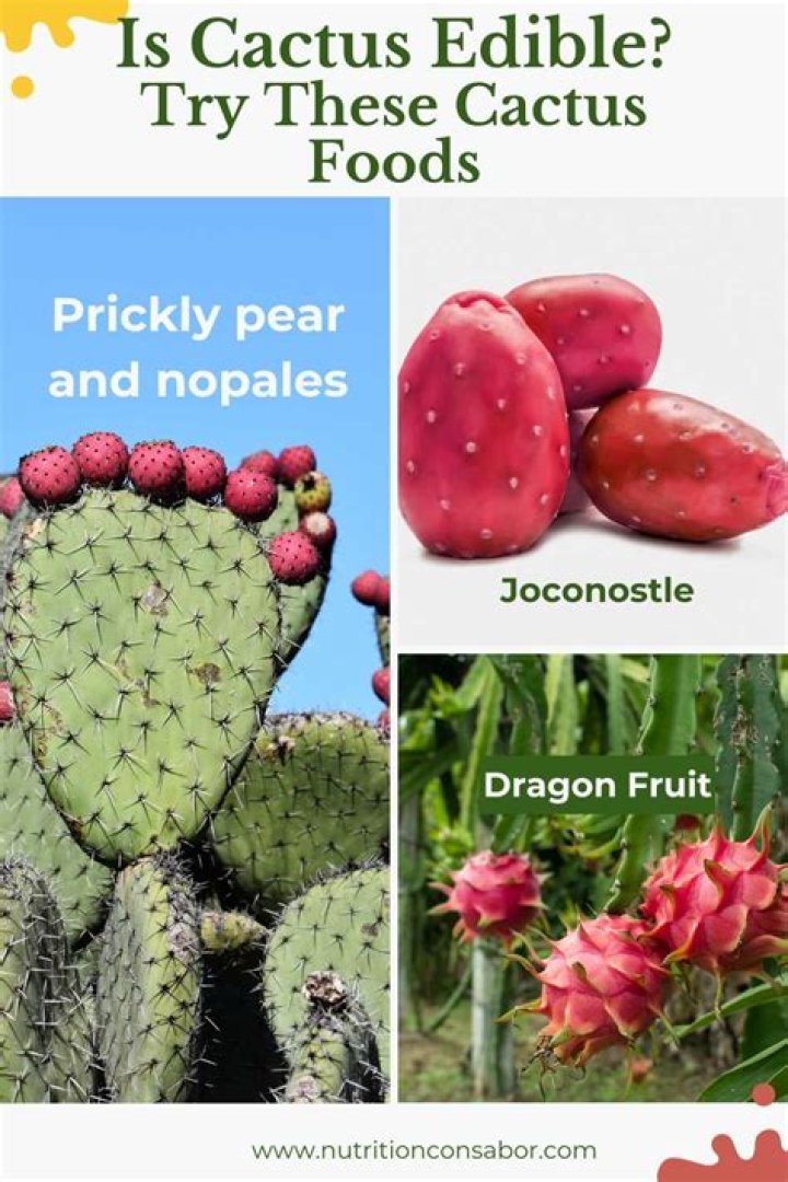 Is it safe to eat a cactus