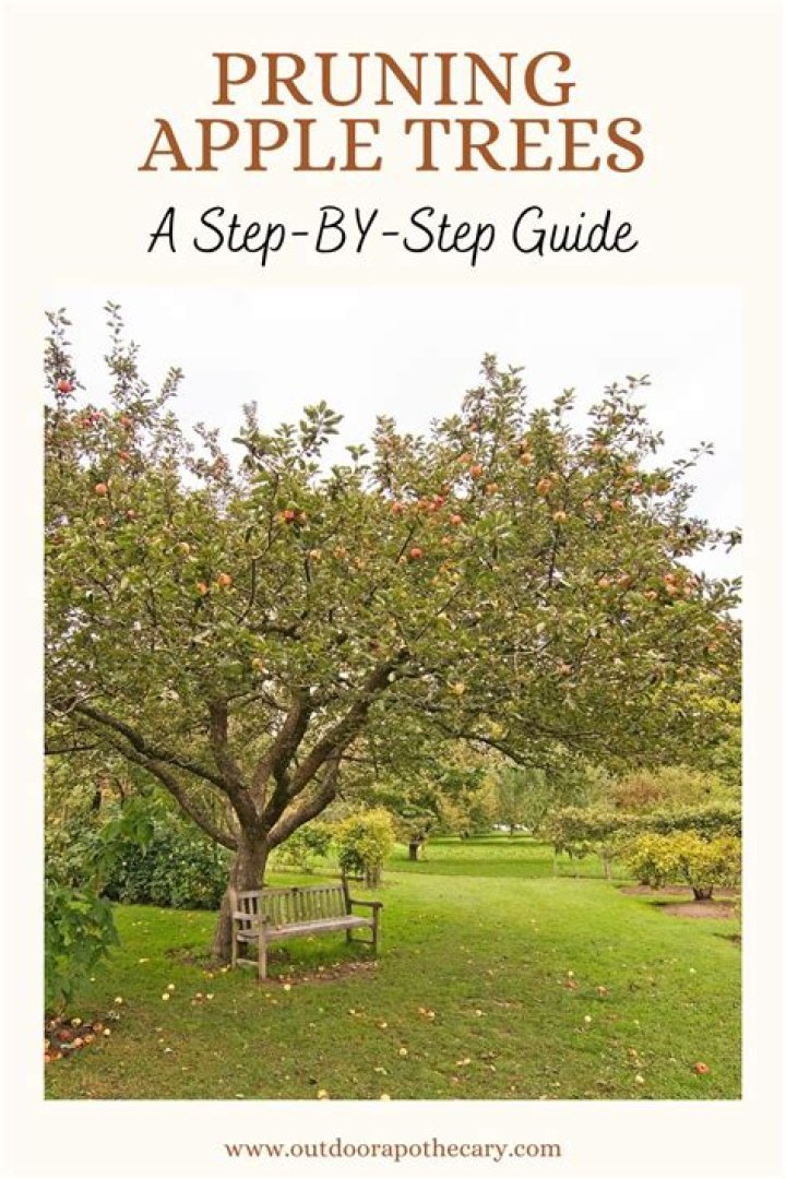 Is it too late to prune apple trees