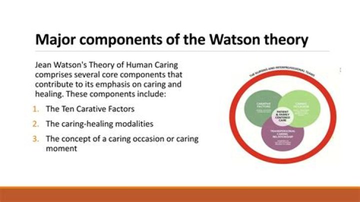 Is Jean Watsons theory a grand theory