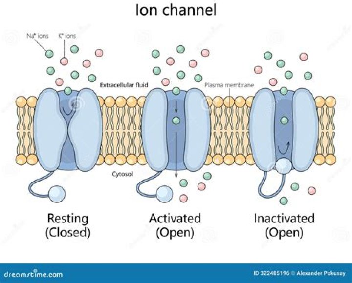 Is K an ion