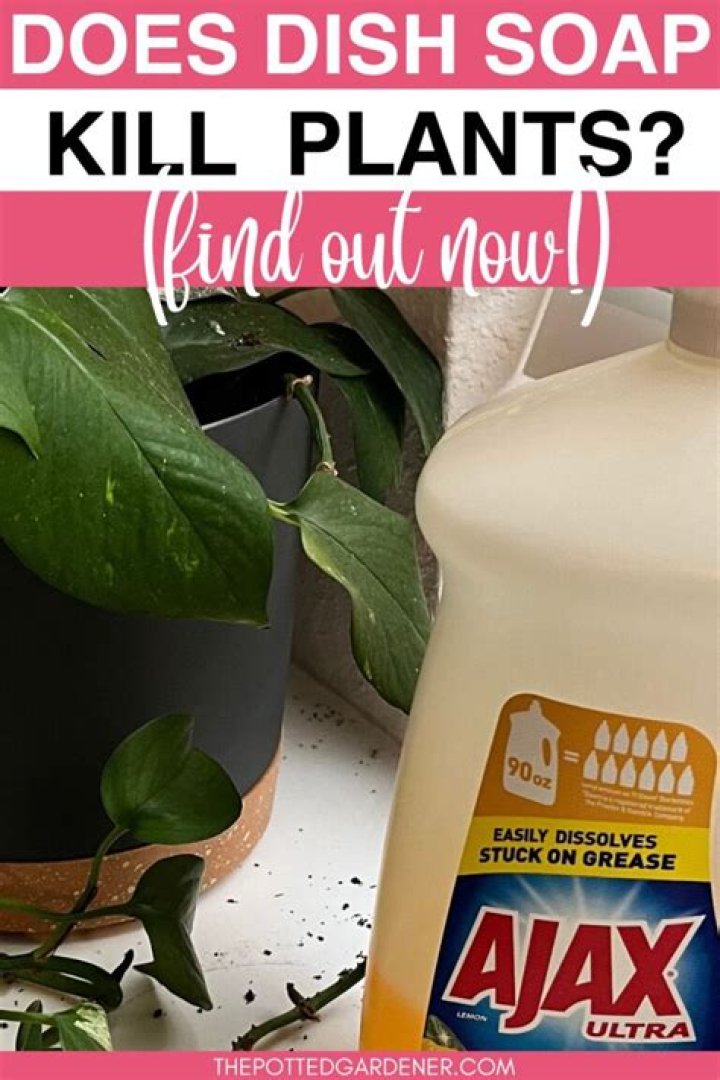 Is laundry soap bad for plants