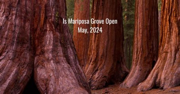 Is Mariposa Grove Open 2019