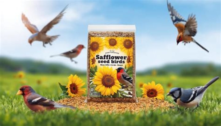 Is millet good for wild birds