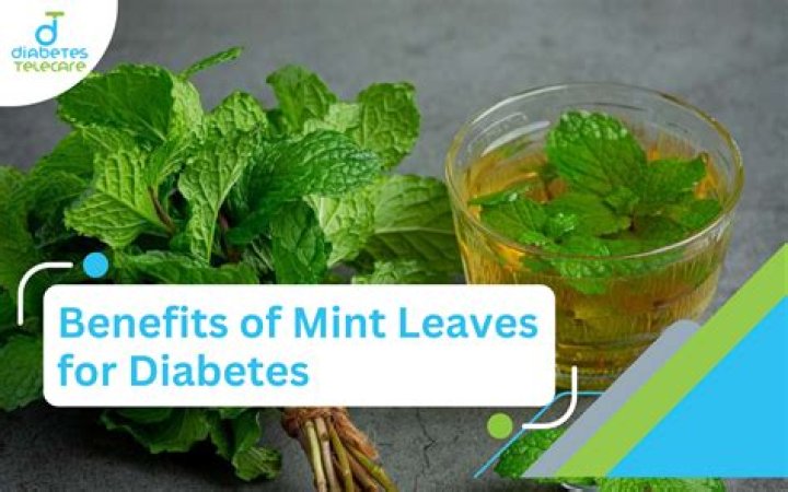 Is Mint good for blood sugar
