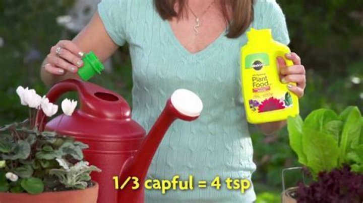 Is Miracle Grow good for trees