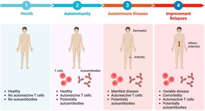 Is Necrobiosis Lipoidica an autoimmune disease