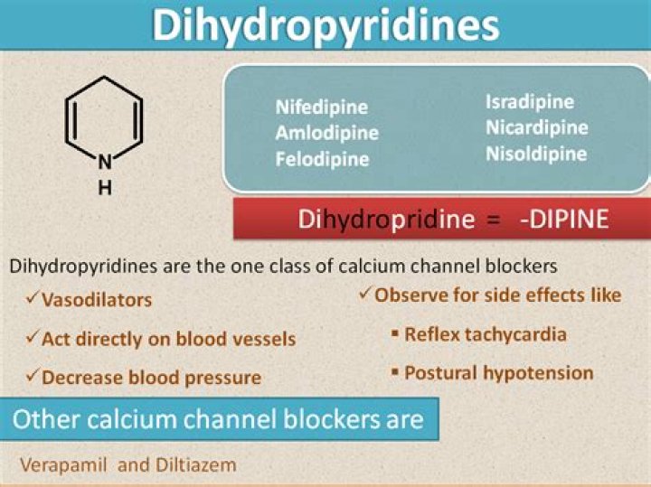 Is nifedipine a dihydropyridine