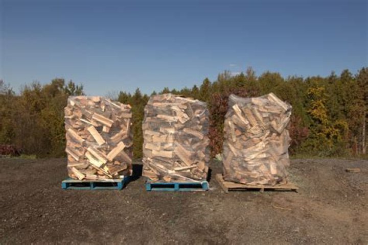 Is orange wood good firewood