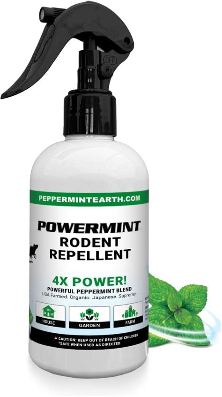 Is peppermint oil effective against cockroaches