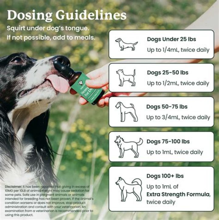 Is Pexion safe for dogs