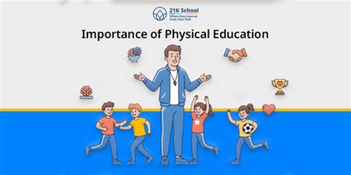 Is physical education a direct service under IDEA