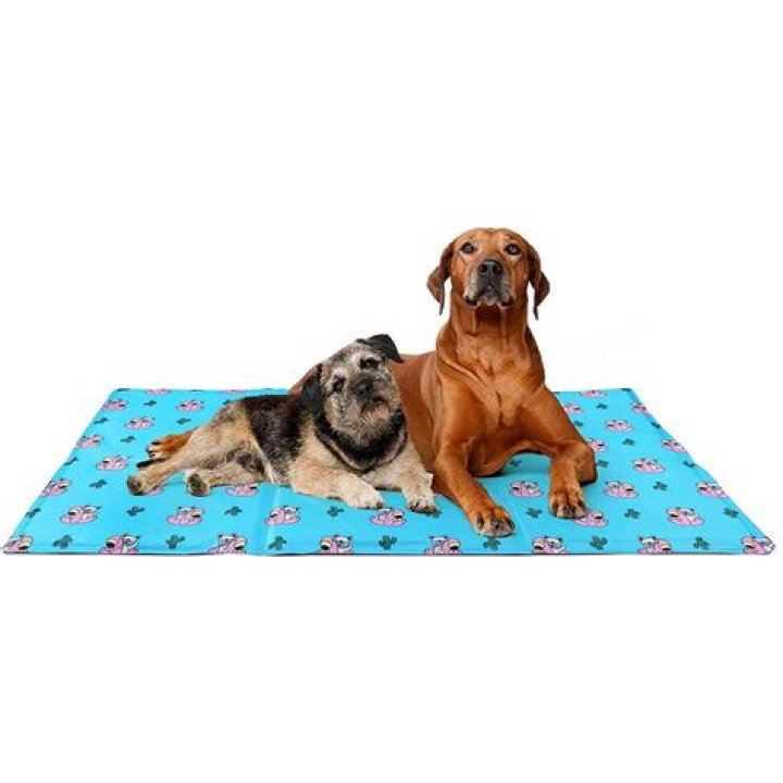 Is polyester toxic to dogs