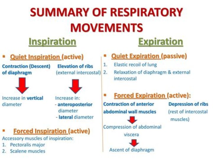 Is quiet inspiration active or passive