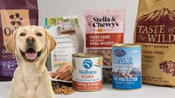 Is retriever a good dog food