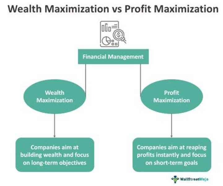 Is revenue Maximisation more realistic than profit Maximisation