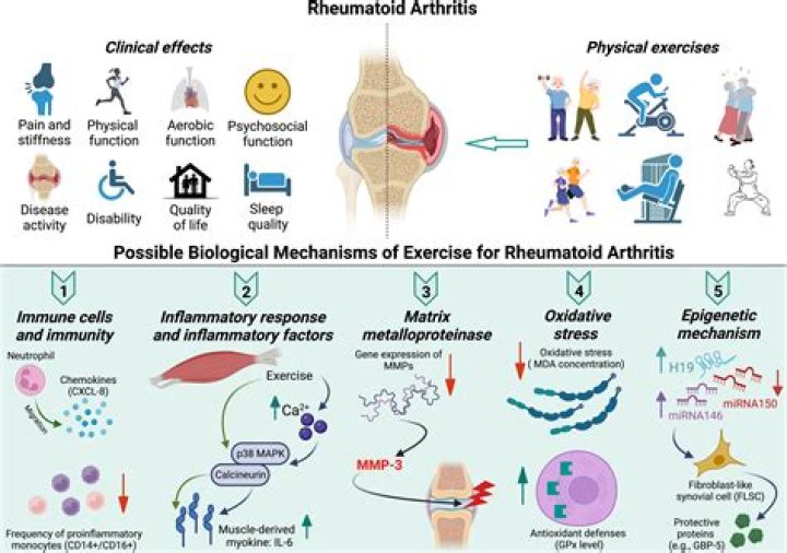 Is seronegative rheumatoid arthritis real
