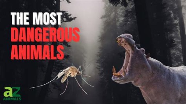 Is smelling dead animals dangerous