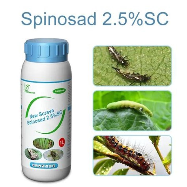 Is spinosad a systemic