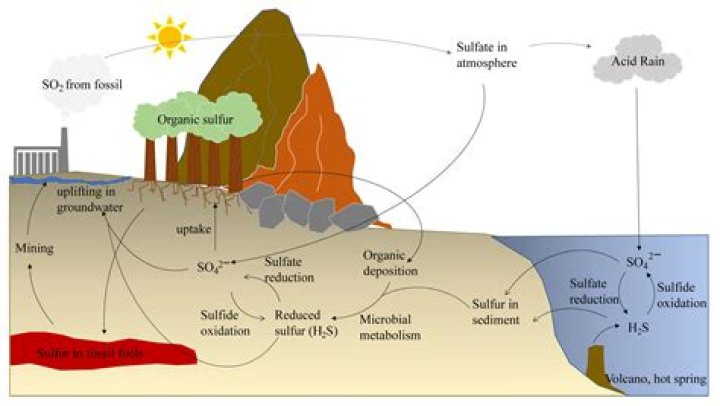 Is Sulphur dioxide a natural preservative