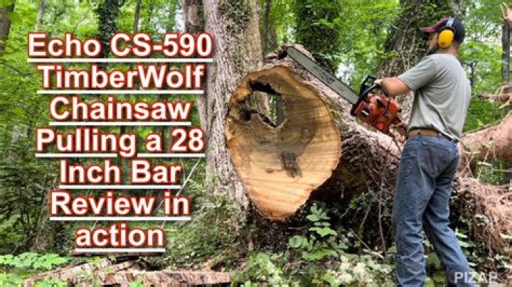 Is the Echo timber wolf any good