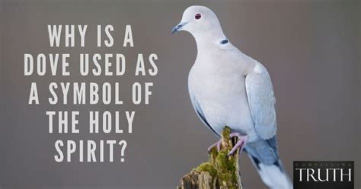 Is the Holy Spirit a dove