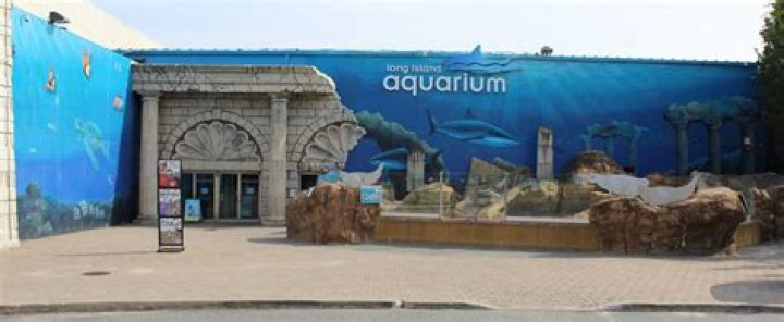 Is the NY Aquarium free