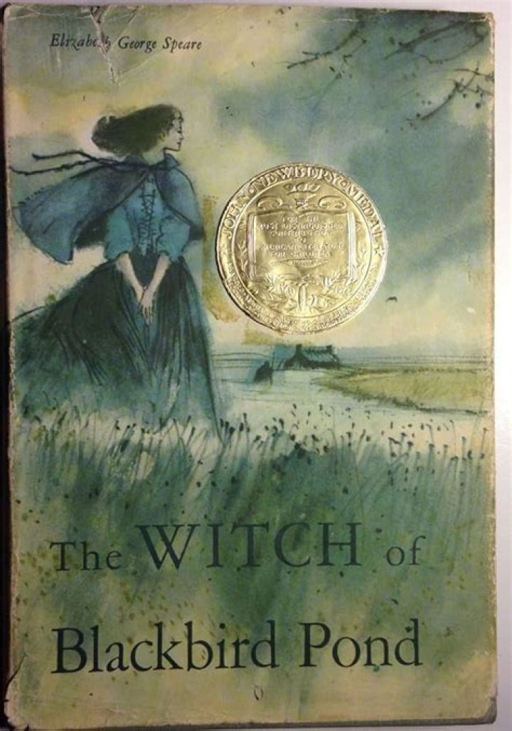 Is The Witch of Blackbird Pond a classic