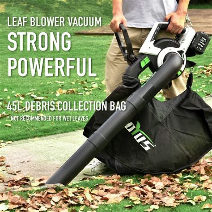 Is there a battery operated leaf vacuum