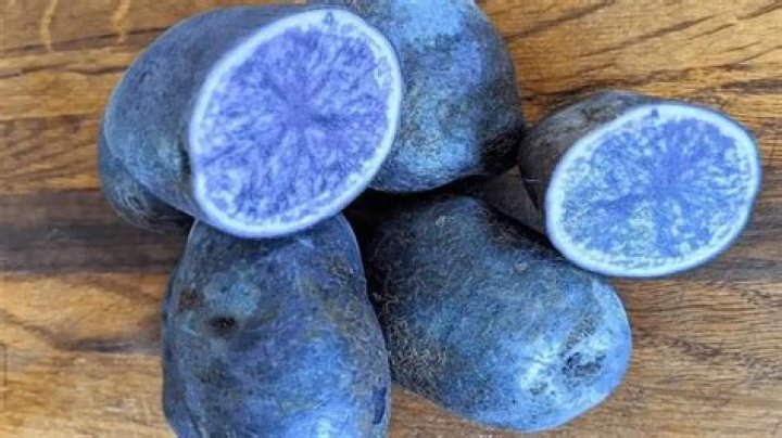 Is there a blue potato