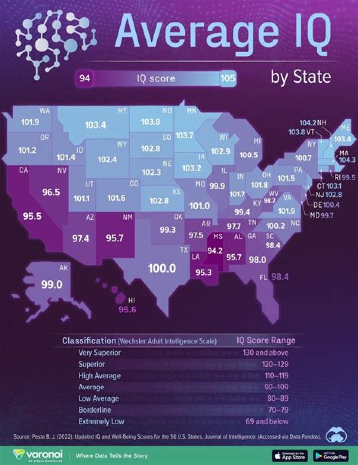 Is there a correlation between IQ and grades