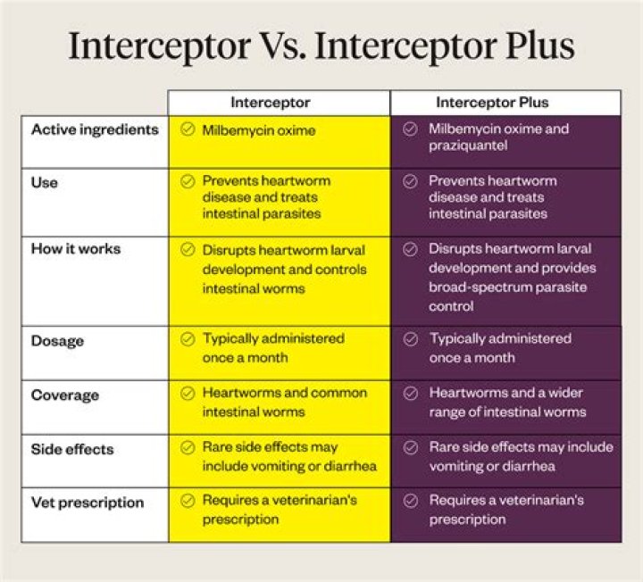 Is there a difference between Interceptor and Interceptor PLUS