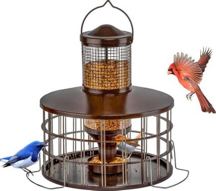 Is there such a thing as a squirrel proof bird feeder
