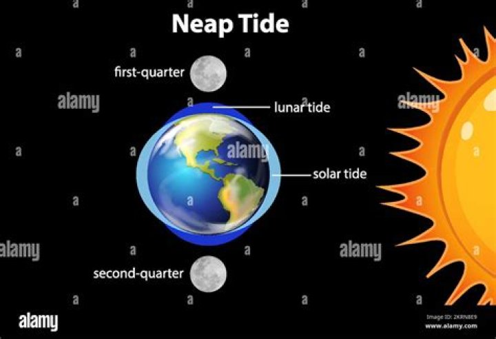 Is tide and gain the same