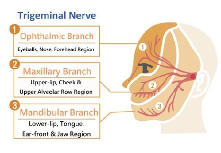 Is trigeminal neuralgia the worst pain known to man
