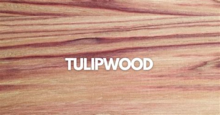 Is tulipwood good for furniture
