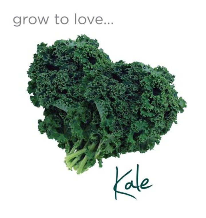 Is Tuscan kale good for you