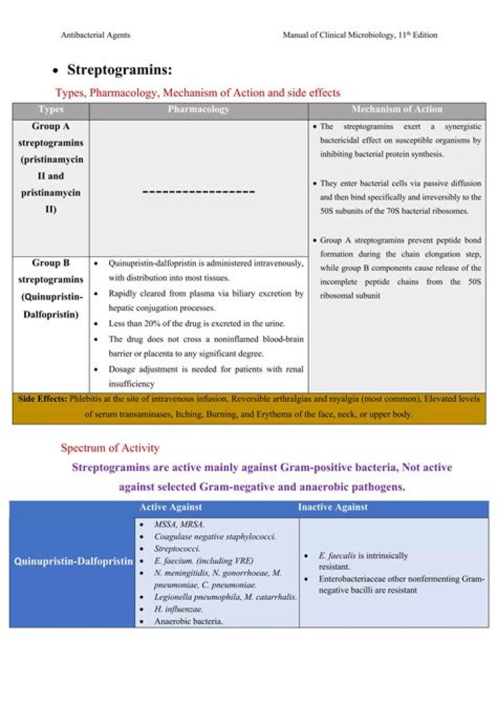 Is VRE Gram-negative