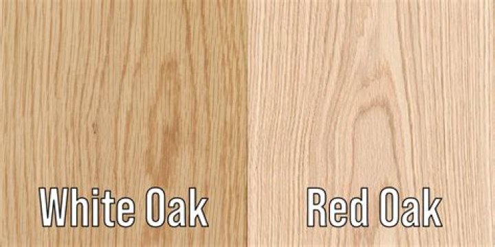 Is white oak good lumber