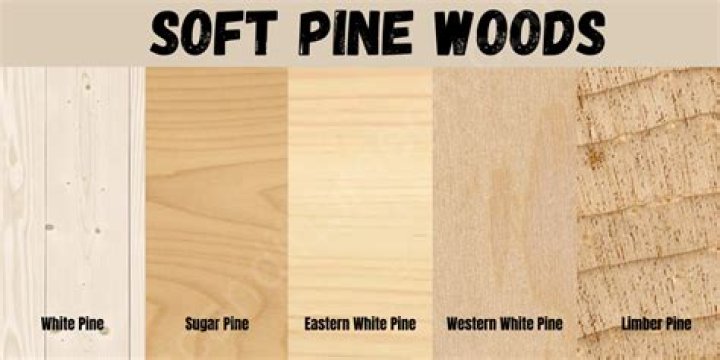 Is White Pine a hardwood or softwood