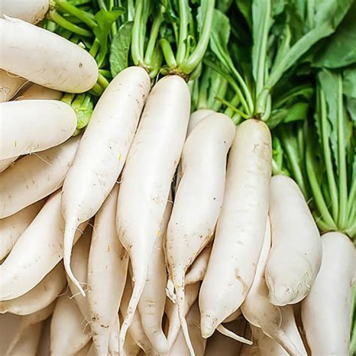 Is white radish same as daikon