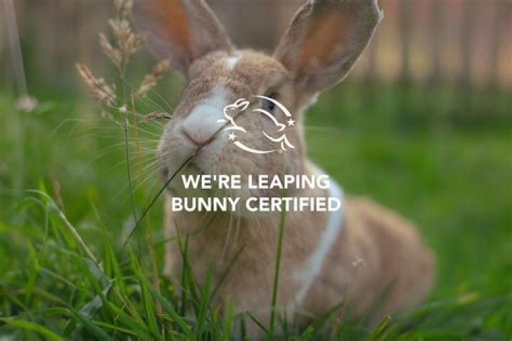 Is younique Leaping Bunny certified