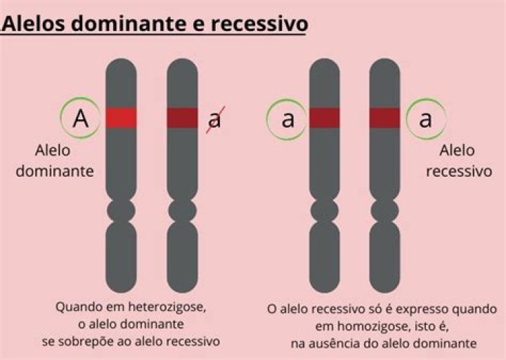 ¿Qué es un alelo recesivo y dominante