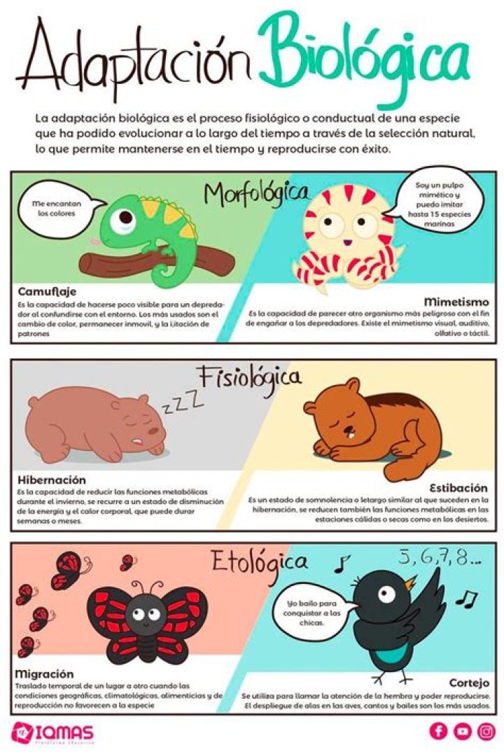 ¿Qué es una adaptacion Etologica