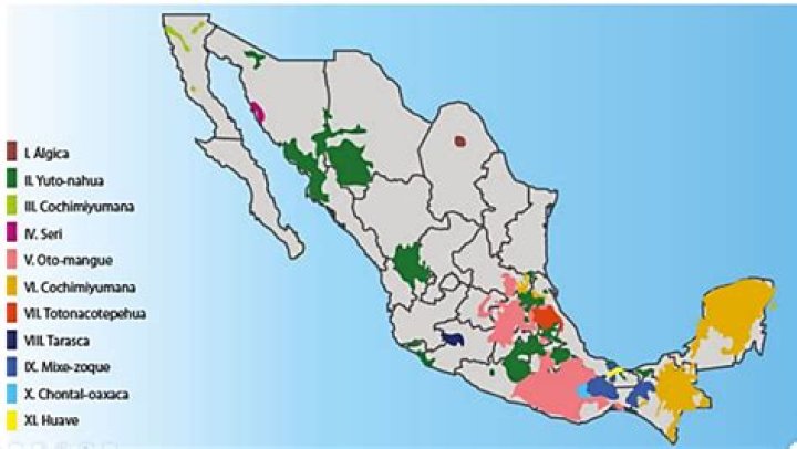 ¿Qué lenguas origino el latín vulgar